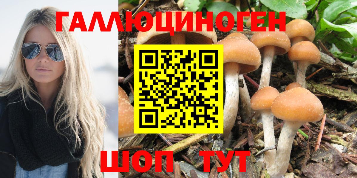 Купить  Верхняя Салда  Метамфетамин  Вход с VPN  Экстази  Конопля  Меф кристаллы  Кокаин 
