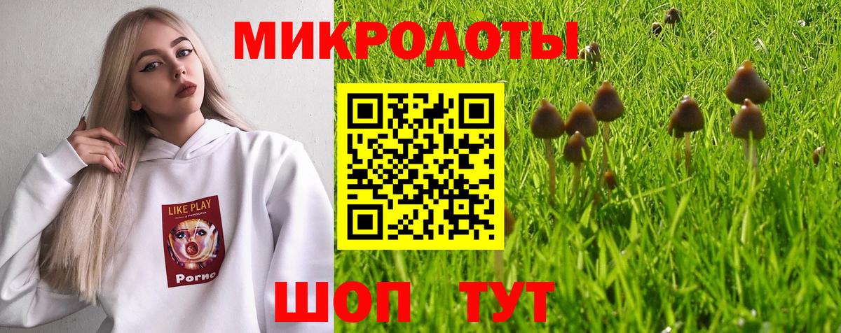 Псилоцибиновые грибы прущие грибы Верхняя Салда